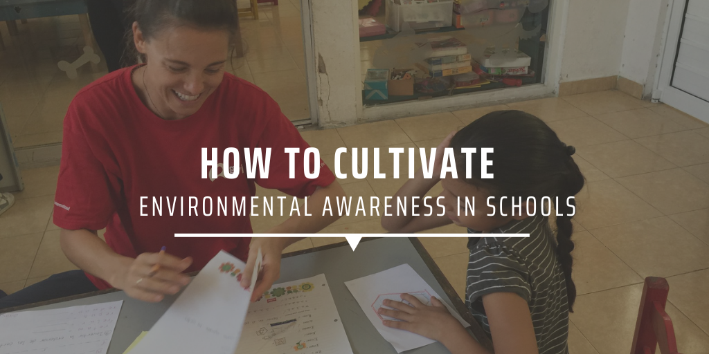 How to cultivate environmental awareness in schools