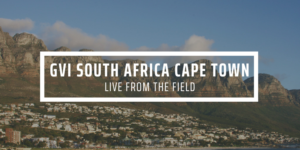 How we support your Cape Town experience