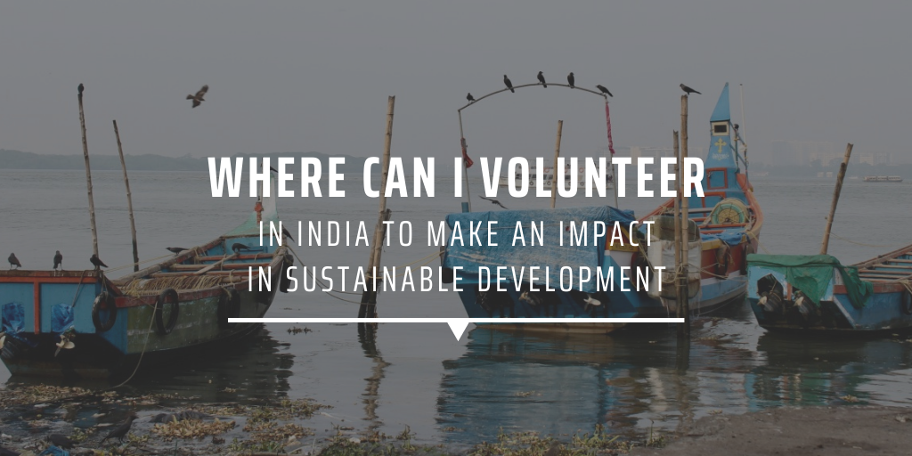 Where can I volunteer in India to make an impact in sustainable development?