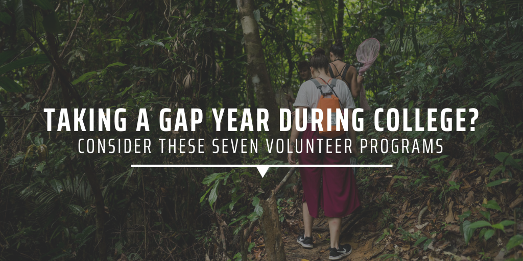 Taking a gap year during college? Consider these seven volunteer programs