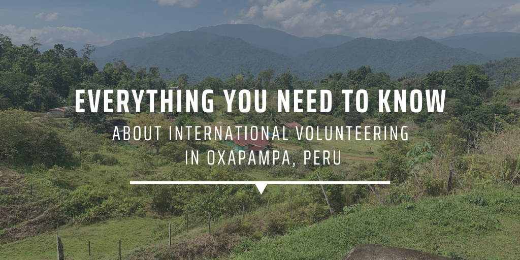Everything you need to know about international volunteering in Oxapampa, Peru