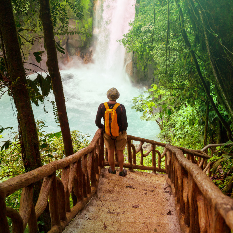 Hike through virgin rainforest to a waterfall